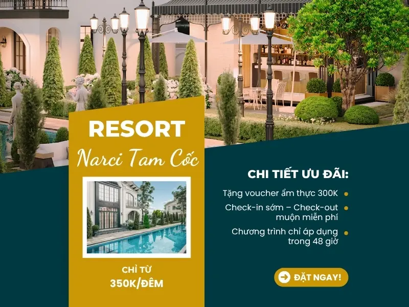 Flash Sale cuối tuần – Nghỉ sang trọng, giá chỉ từ 15%